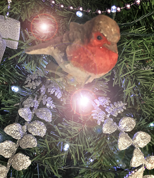 Christmas tree Robin