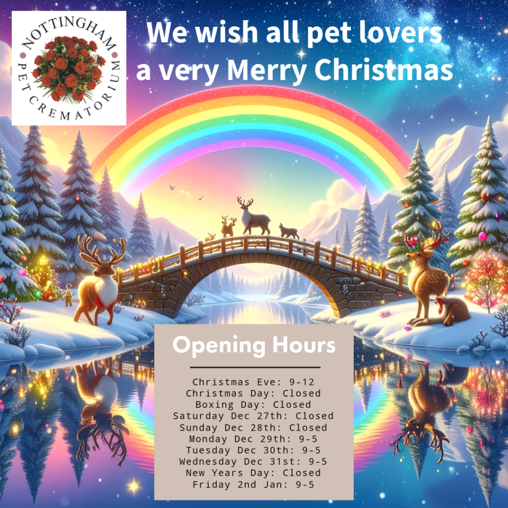 festive opening hours