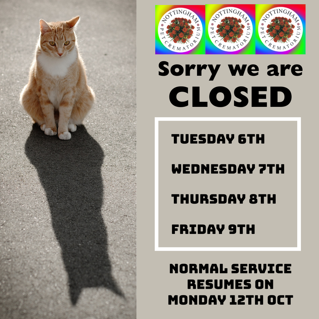 We are closed 6-9 October. Normal serice from 12th October
